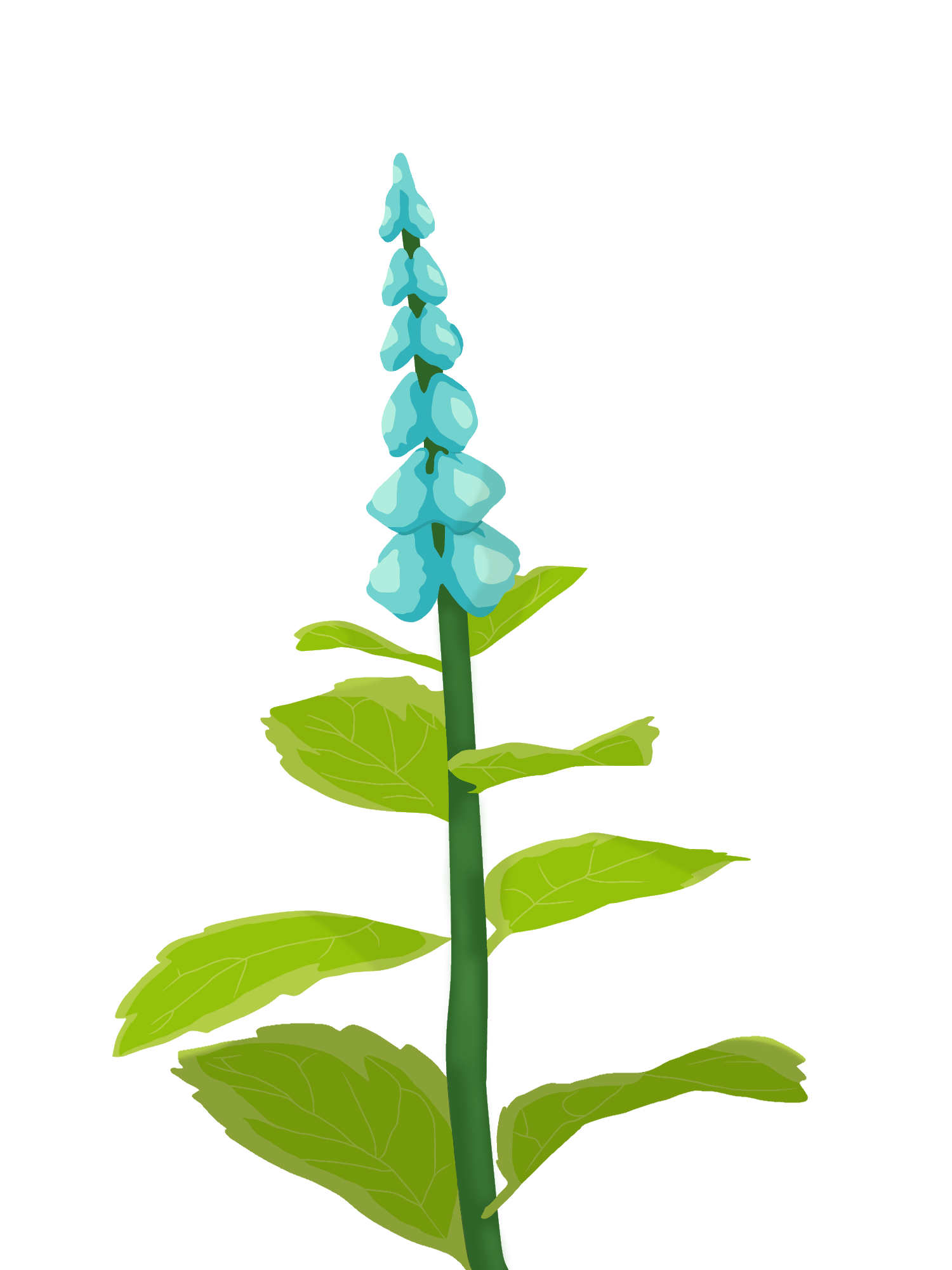 Mint Flower